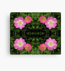 Dog Rose Dilema Canvas Print