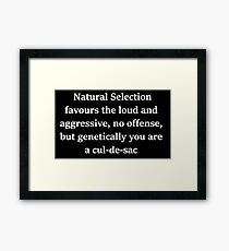 black books Framed Print