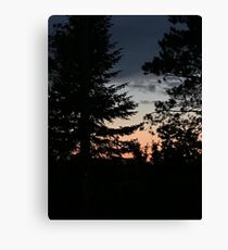Red White and Blue Sunset Through Trees Canvas Print