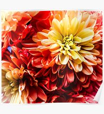Red Frilly Flowers Poster