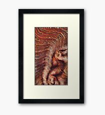 Colours Framed Print