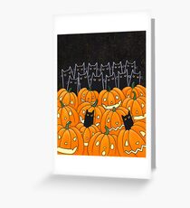 Black Cats & Jack-o-Lanterns Greeting Card