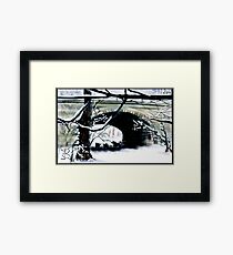 Dog Friends Under Bridge Framed Print
