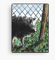 Mona Canvas Print