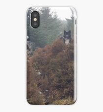 Wolf dogs iPhone Case
