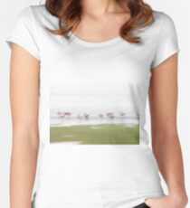Pink and green hues nature abstract of pink flamingos in wetland Namibia. Women's Fitted Scoop T-Shirt