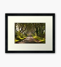 The Dark Hedges Framed Print