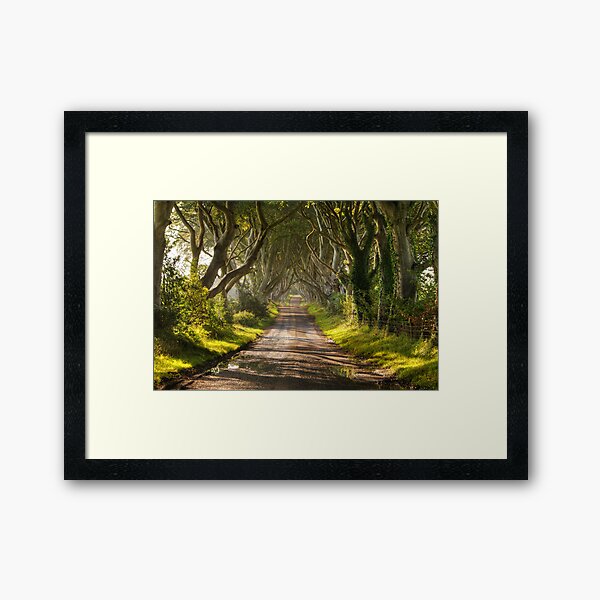 The Dark Hedges Framed Art Print