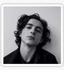 chalamet Sticker