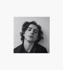Lámina de exposición Chalamet