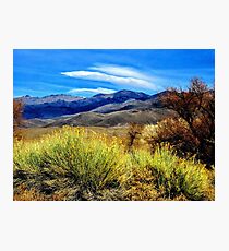 In The Desert Photographic Print