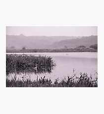 Leighton Moss - A View Photographic Print