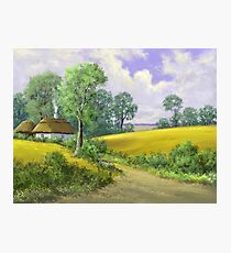 Digital paintings rural landscape. Fine art. Photographic Print