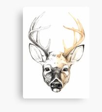 Deardeer Canvas Print