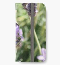 Bumble iPhone Wallet/Case/Skin