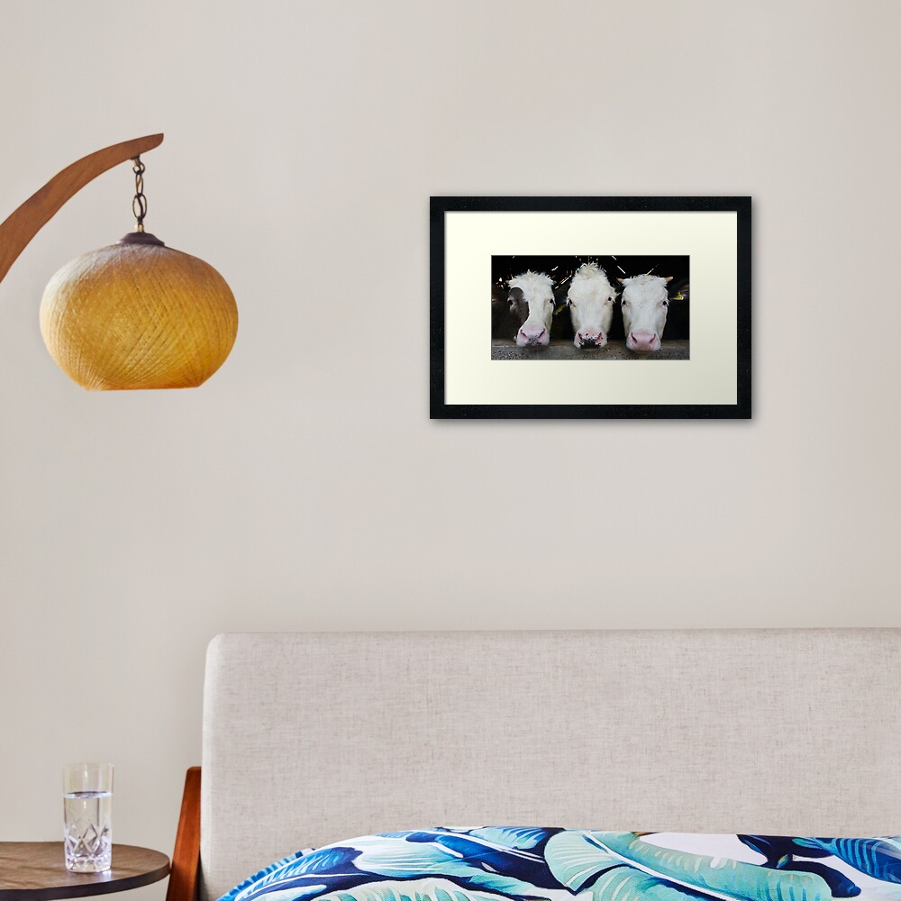 Three of a Kind Framed Art Print