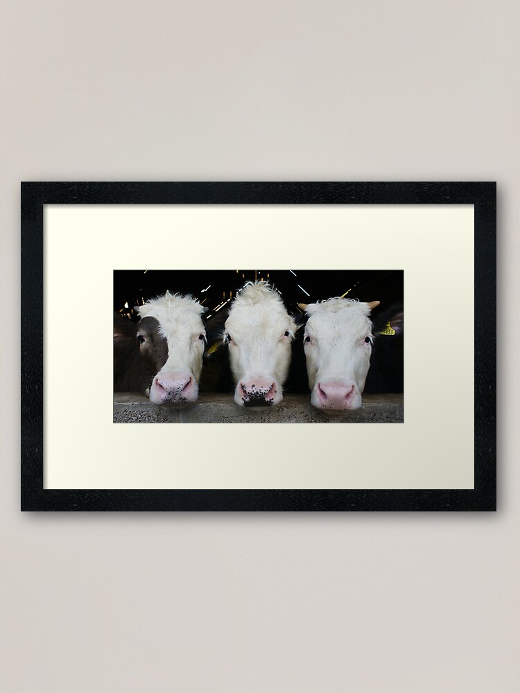 Alternate view of Three of a Kind Framed Art Print