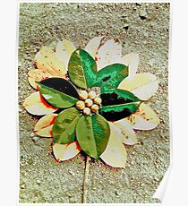 Flower and Citrus Poster