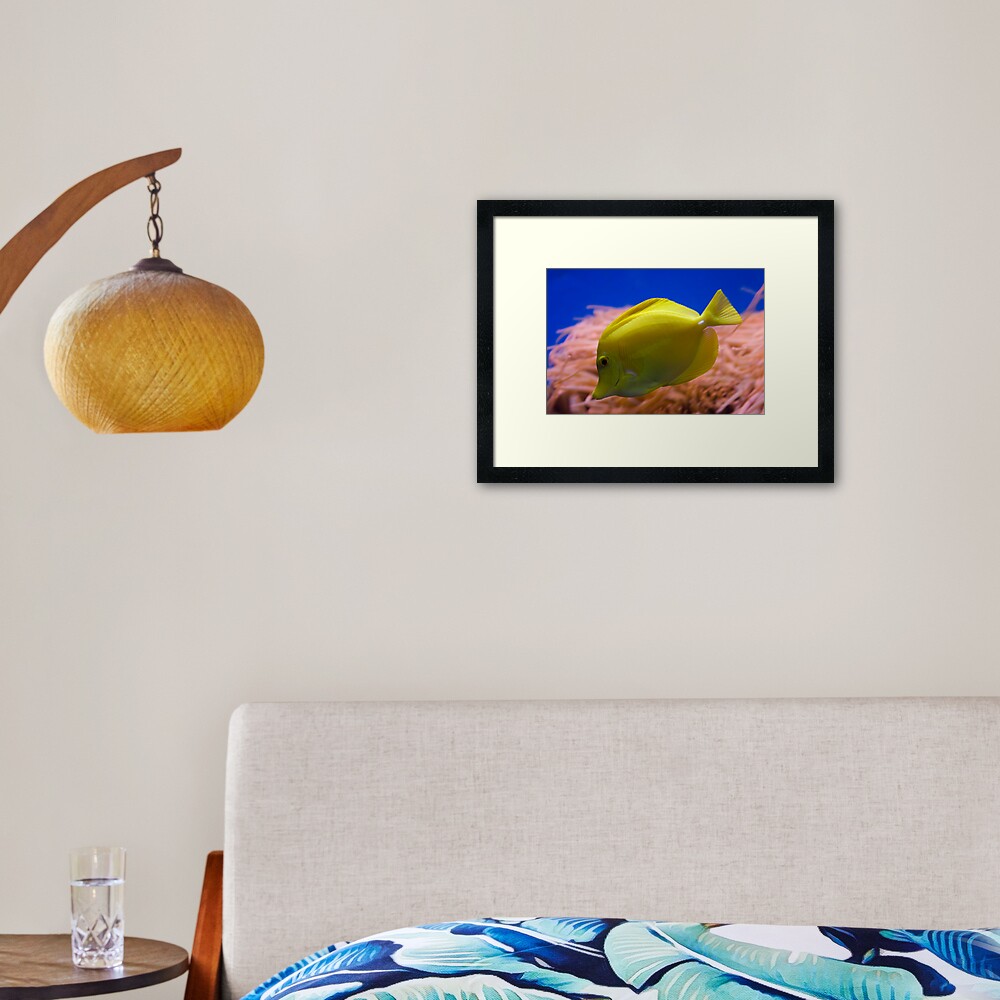 Yellow Tang Framed Art Print