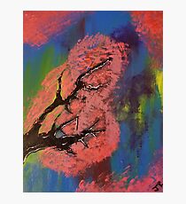 Breast Cancer Awareness Photographic Print