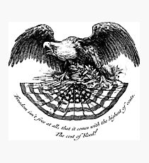 Freedom Photographic Print