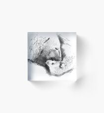 polar bear Acrylic Block