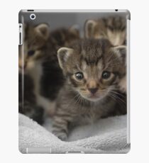 Kittens iPad Case/Skin