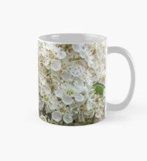 Orange Firethorn (Pyracantha) Classic Mug
