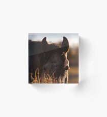 Hay Day Acrylic Block