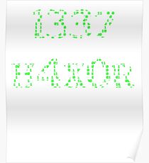 Elite Hacker 1337 h4x0r Poster