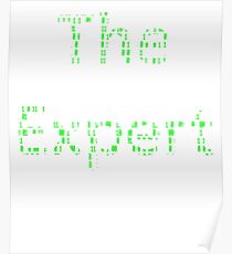 The Expert Poster