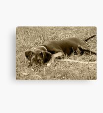 Flower Boi Canvas Print