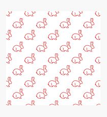 Seamless rabbit pattern. Photographic Print