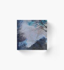 Stacked Trees Acrylic Block