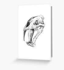 Eusmilus 'False Sabertooth Cat' skull | Graphite Pencil Art Greeting Card