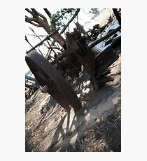 Voiceless Heroism Photographic Print