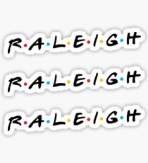 Raleigh Sticker