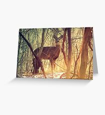 Morning Deer Greeting Card
