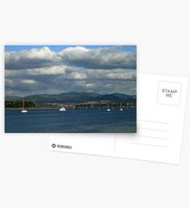 Tauranga Marina Postcards