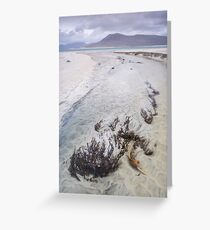 Traigh Niosaboist #1 Greeting Card