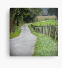 Country Lane Metal Print