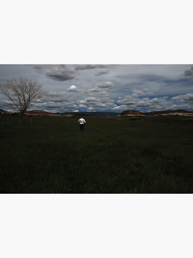 the irrigator by LumenLux