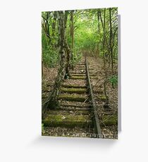 Nature Strikes Back Greeting Card