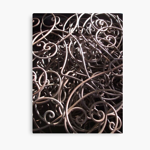 An abundance of curves Canvas Print