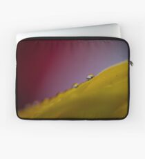 Tau Laptoptasche