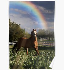 Rainbow Poster