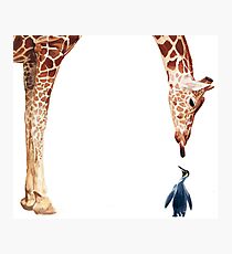 "Licker with Penguin" Giraffe Watercolor Photographic Print