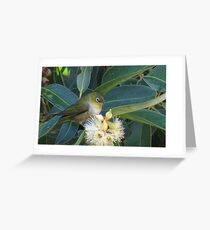 silver eye two Greeting Card