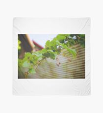 Vine Scarf