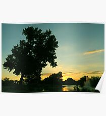 Leaning Tree Poster